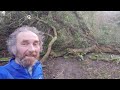 trees down after storm eowyn whiting bay trails arran@davetheraverovingtherock