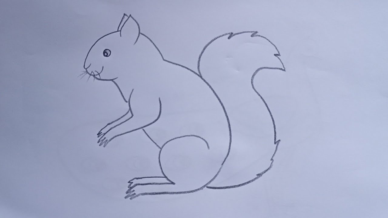 How To Draw Squirrel Drawing Easy Step By Step@Kids Drawing Talent ...