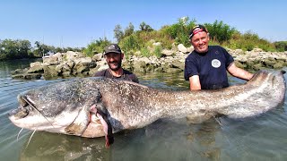 PESCA PESCE SILURO OVER 100 kg x 2,51 mt RIVER MONSTER by Yuri Grisendi