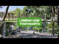 JALAN JALAN PAGI DI LEMBAH UGM #shorts #jalan  #yogyakarta