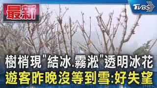 樹梢現「結冰.霧淞」透明冰花 遊客昨晚沒等到雪:好失望｜TVBS新聞 @TVBSNEWS01