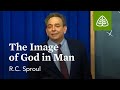 The Image of God in Man: Dust to Glory with R.C. Sproul