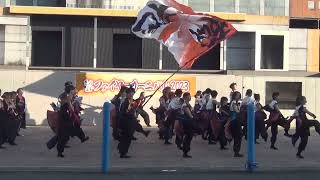 さのよいファイヤーカーニバル 受賞演舞 島根県立大学 橙蘭