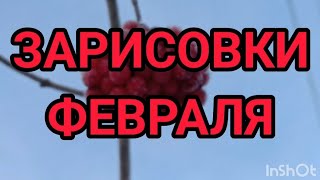 Зарисовки февраля.Ледовая арена в деревне.Прогулка с мамой.Посевы.13.02.25.