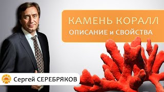 Камень Коралл. Описание и свойства.