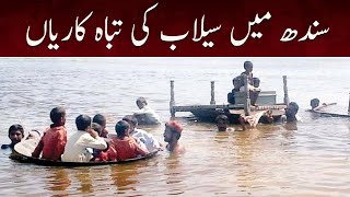 Devastation of flood in Sindh | Weather Updates | Samaa News | 19 August 2022