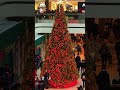 🇨🇦 feel christmas at fairview mall @ toronto 商超已圣诞