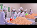 the secret to perfect tempeh inside a high tech mega factory processing tempeh like a pro