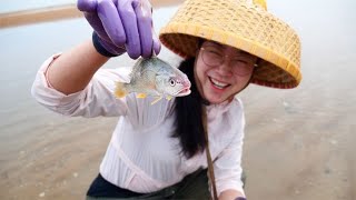 大梅赶海抓猫眼螺，被条“会说话“的鱼碰瓷！秋桃终于成熟啦！