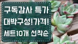 [판매완료] (4월16일) 10개세트 모두 판매 완료 입니다! 감사합니다😊