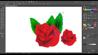 Illustrator Roses creating in Adobe illustrator CC Tutorial