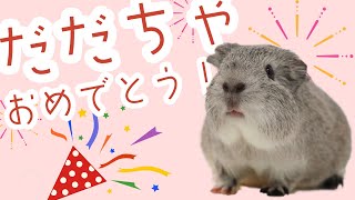 幸せなお知らせ【足立区生物園】