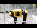 server u0026 os los dos primeros robots caninos en latinoamérica