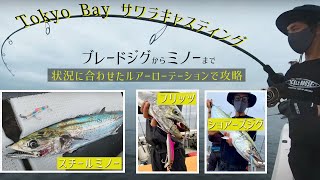 【F.W.A.】東京湾サワラキャスティング「ブレードジグ～ミノーまで。状況に合わせたローテーションで攻略」 @フレンドシップ (船橋,千葉)