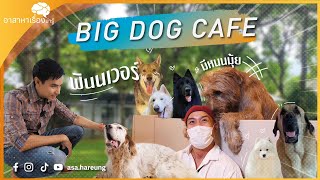 อาสาพาฟิน |  Big Dog Cafe \