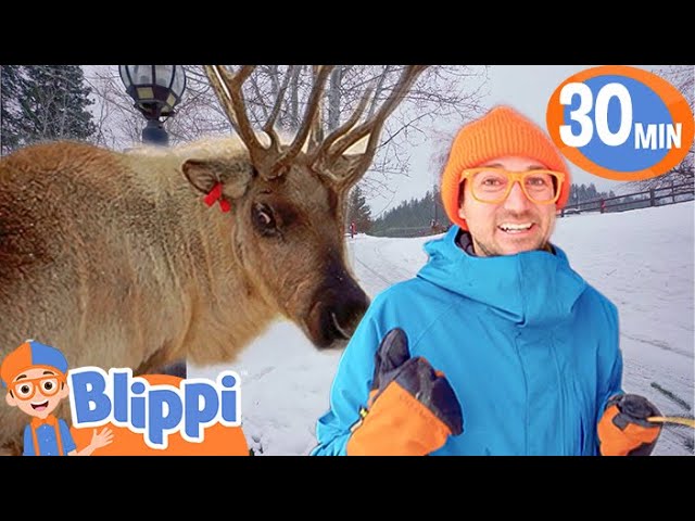 Blippi Meets Holiday Reindeer Blippi Wonders Educational Videos For