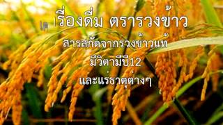 อัดสปอตเครื่องดื่มตรารวงข้าว