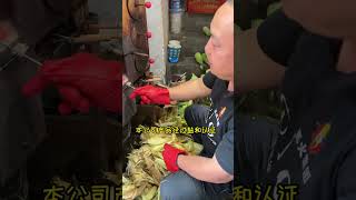 第一次会见500强CEO，乌师傅出息了#烧包谷CEO #烧包谷 #美食