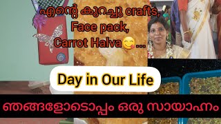 ഞങ്ങളോടൊപ്പം ഒരു സായാഹ്നം||Day In My Life||കുറച്ചു വാചകം, കുറച്ചു പാചകം|Carrot Halva||Healthy Foods