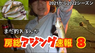 房総アジング速報 「2021年から2022年シーズン追加 4月の後半でもまだ釣れてる」2022年4月23日 千葉県勝浦市・南房総市の各港