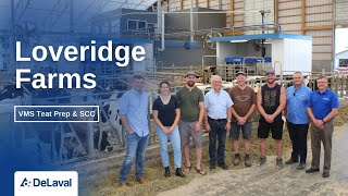 Loveridge Farms | Teat prep \u0026 SCC with DeLaval VMS V300