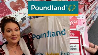 January Poundland BARGAINS