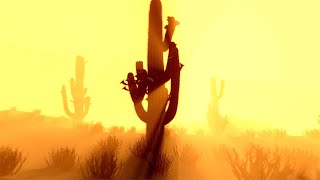 Cactus and Joshua Tree in Desert - Ambient Relaxing Music for Stress Relief and Meditation