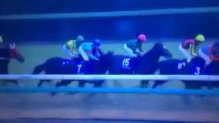 2014年 12月28日 第59回 有馬記念 ジェンティルドンナ