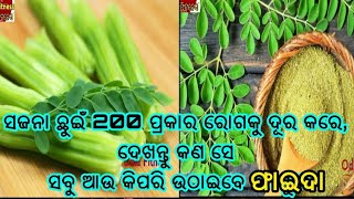 ସଜନା ଛୁଇଁ  200 ରୋଗକୁ ମୂଳରୁ ନିପାତ କରିଦେଇଥାଏ, ତେବେ ଜାଣନ୍ତୁ କଣ ସବୁ ମିଲିବ ଏହି ଜିନିଷରୁ ଫାଇଦା