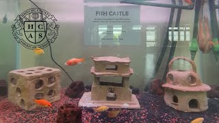 FISH CASTLE 2021