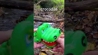 Learning at the Stream | Animal Names for Babies Kids: Cow Crocodile Koala Cat Horse