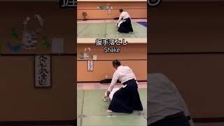 WOW!合氣 | 握手落とし : HandShake Drop | 合氣を活かす #martialarts #合氣道