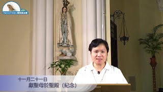 每日聖言分享 【獻聖母於聖殿（紀念）(瑪 12:46-50)】 瑪利亞方濟各傳教修會孫燕雲修女