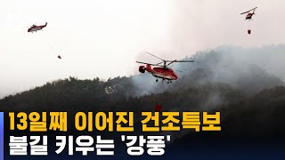 합천에 13일째 이어진 건조특보…불길 키우는 강풍 / SBS 8뉴스