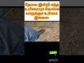 🐀எங்களுக்கு வேற வழி தெரியல😰😭 shorts ytshorts viralshorts trending funny