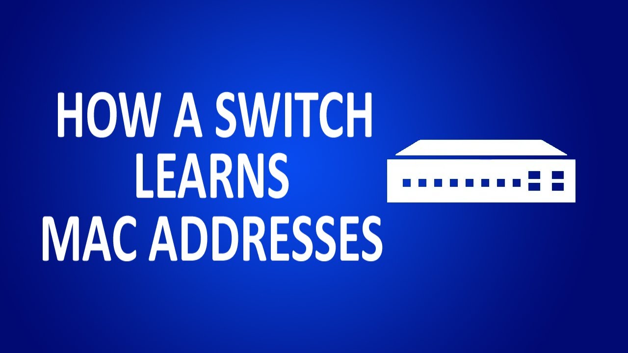 Switches Dynamically Learn What Mac Addresses Exist On A Switch Port