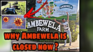 why Ambewela is closed ❓❓❓‼️ 😕  #little #newzealand #farm #peaceful #environment .