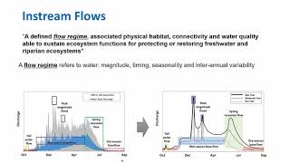 Instream flows
