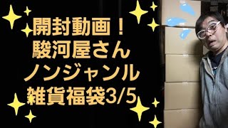 開封動画！駿河屋さんノンジャンル雑貨福袋3/5