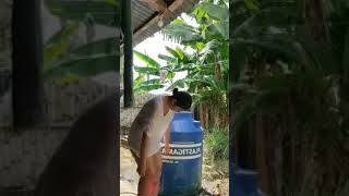 Mxtube.org :: Andrea Granda Mp4 3GP Video & Mp3 Download unlimited ...