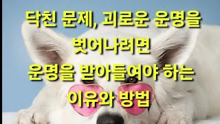 문제가 있으면 탈출구도 있다 /질문자 답변