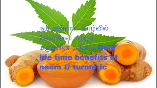 வேப்பிலையும் மஞ்சளும் neem turmeric benefits  | வேப்பிலை மற்றும் மஞ்சள் மகிமை