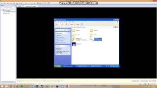 Basic Static Analysis