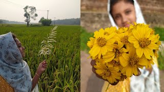 നെൽവയൽ കാണാന്‍ പോകാം | Travel Vlog | Farming | Home Tour | Garden | Thamanaht's Journey