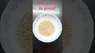 Popped Jowar | Jowar pops | Sorghum  Pops #Shorts                  #Youtubeshorts