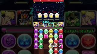 パズドラたまドラを追え