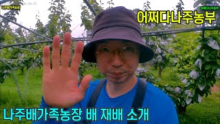 나주배가족농장 배재배 소개 1 - 23년 05월 29일