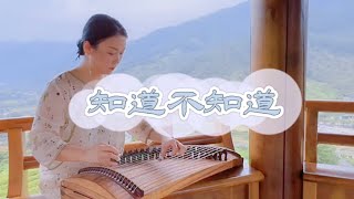 古筝《知道不知道》天下无贼 刘若英 邓丽君 Yehui Chen Chinese Zither Guzheng