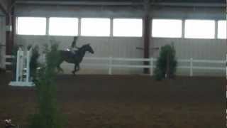 TB Celebration Horse Show - Keepawaye (FOR SALE)