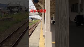 無人駅にて貨物列車の通過です。　　　　EF510  レッドサンダー　　　　　　　　　#むぎちゃんねる #電車好き #北陸本線 #子鉄 #7歳児 #レッドサンダー#貨物#EF510